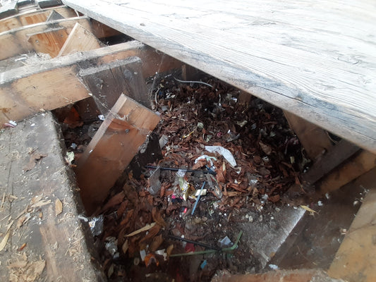 Schockierende Bilder: so sieht es unter der Terrasse eines Gastgartens aus.